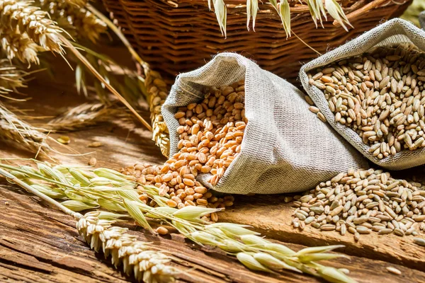 Closeup of bags with cereal grains — Stock Photo, Image