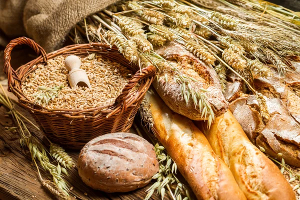 Different kinds of grain and freshly baked bakery products — Stock Photo, Image