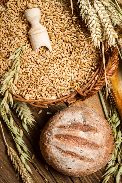 Gehele korrel brood met een mand vol van granen — Stockfoto