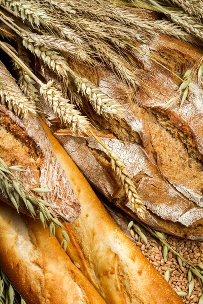 Primo piano su una varietà di pane con grano di spighe — Foto Stock