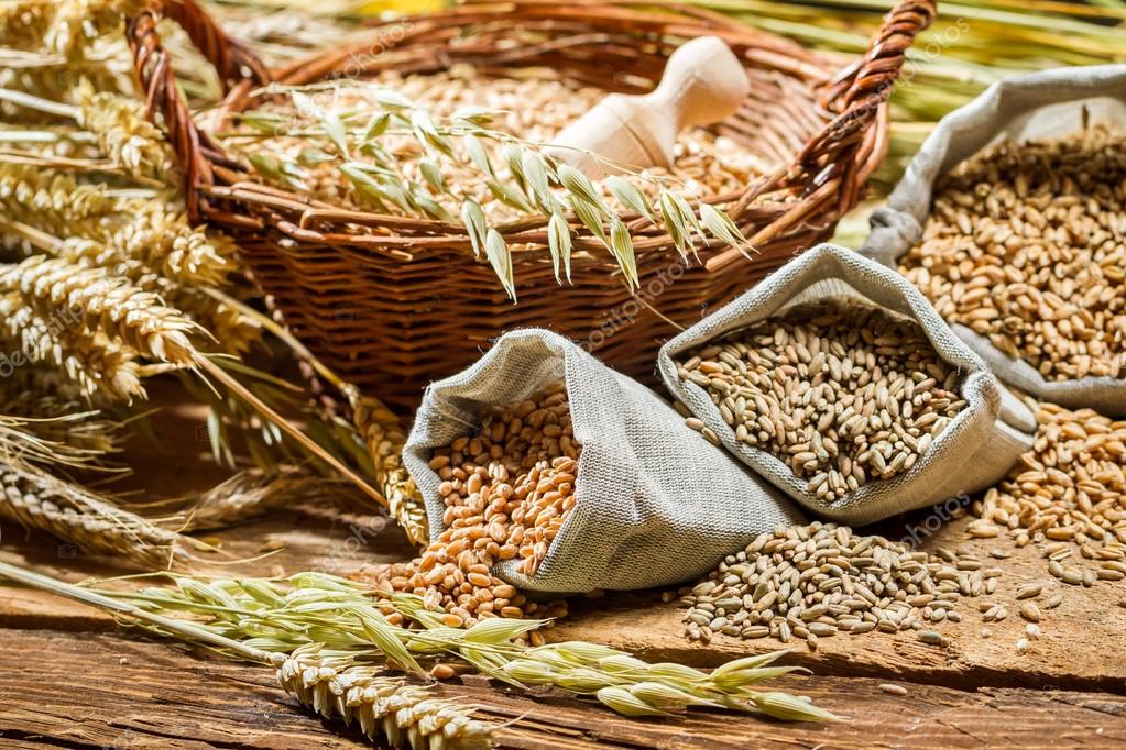 Different types of cereal grains with ears Stock Photo by ©Shaiith79