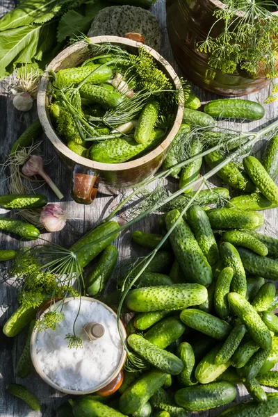 Nahaufnahme von frisch eingelegte Gurken auf dem Land — Stockfoto