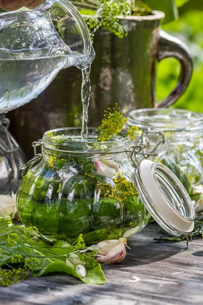 Closeup of fresh pickling cucumbers in the countryside — Stock fotografie