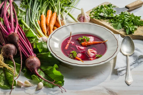 Sopa de beterraba com legumes frescos no campo — Fotografia de Stock