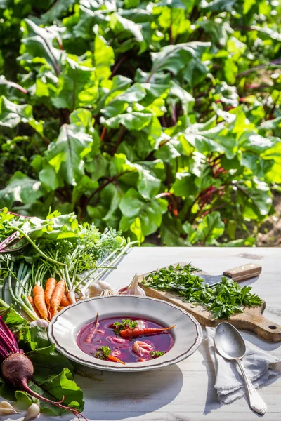 Beetroot soup with fresh vegetables on field — Stock Photo, Image