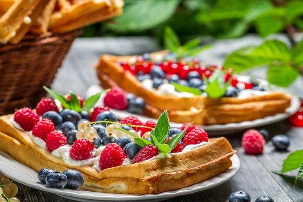 Waffel krem ve yaban mersini ve ahududu — Stok fotoğraf