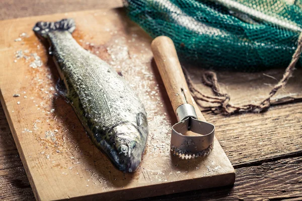 Świeżo złowione ryby na obiad — Zdjęcie stockowe