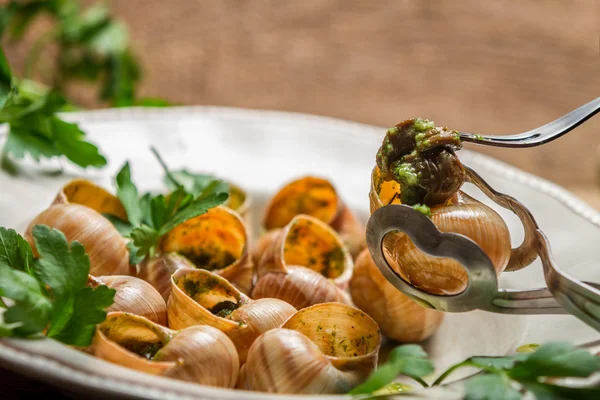 Primo piano di mangiare le lumache fritte con burro all'aglio — Foto Stock