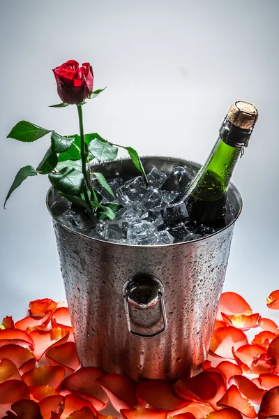 Closeup of red rose and cold champagne — Stock Photo, Image