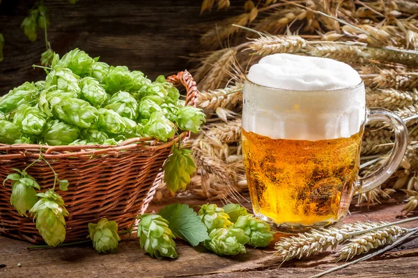 Closeup of hop cones collected in a pint of beer — Stock Photo, Image