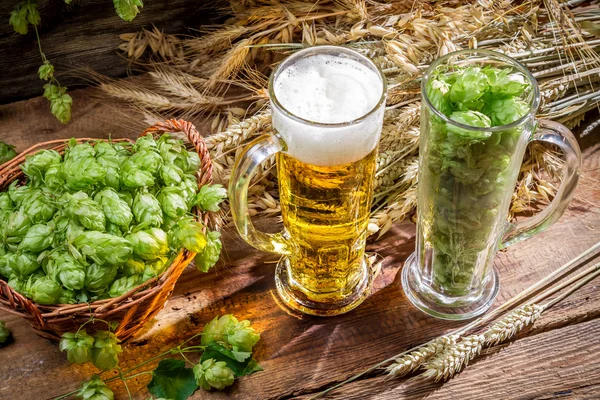 Closeup of hop cones collected in a pint of beer — Stock Photo, Image