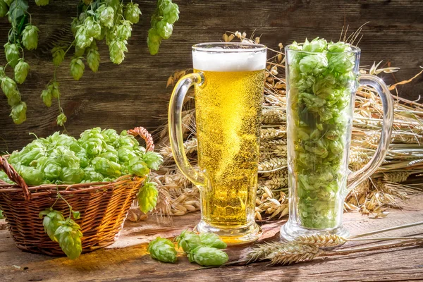 Closeup of hop cones collected in a pint of beer — Stock Photo, Image