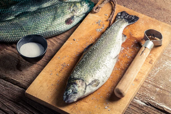 Closeup of freshly caught fish for dinner — Stock Photo, Image