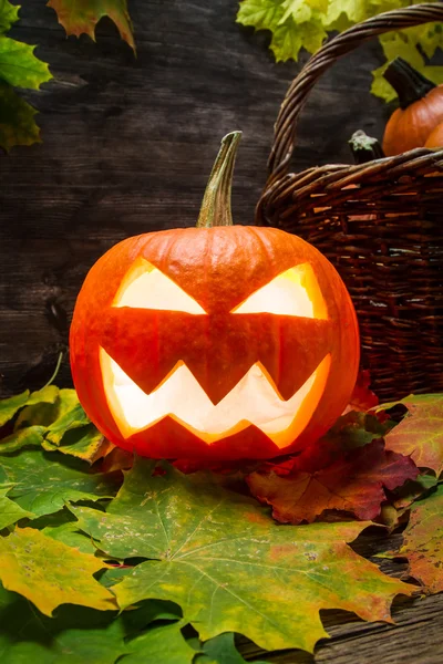Glödande halloween pumpa på bladen — Stockfoto