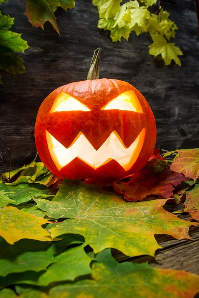 Glühender Halloween-Kürbis auf Herbstblättern — Stockfoto