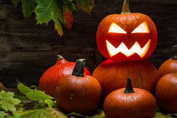 Zucche di Halloween su foglie di autunno — Foto Stock