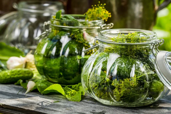 Cetrioli freschi sottaceti in campagna — Foto Stock