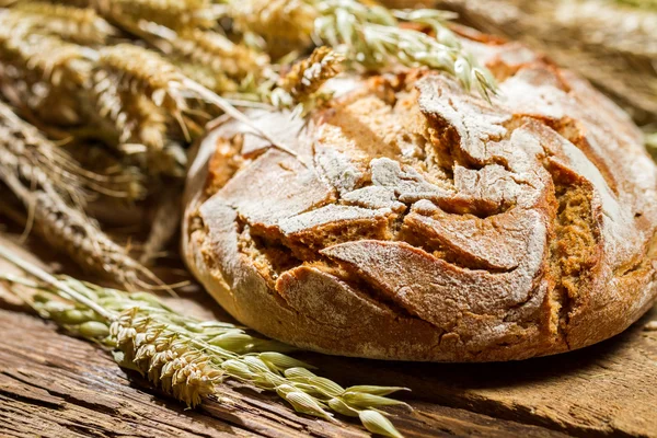 Крупный план свежеиспеченного сельского хлеба — стоковое фото
