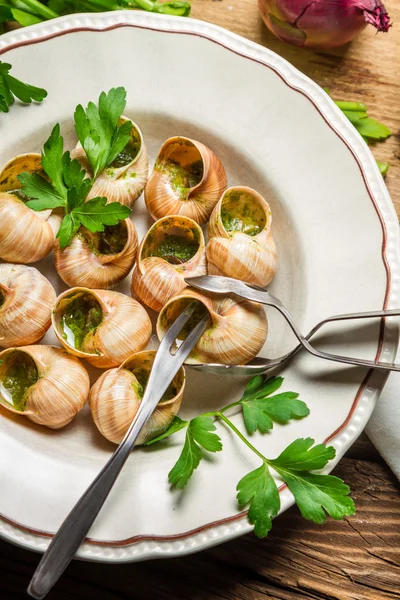 Snails baked in garlic butter served on a plate — Stock Photo, Image