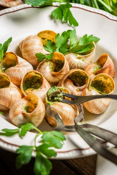 Caracoles al horno en mantequilla de ajo servidos en un plato —  Fotos de Stock