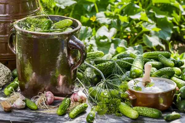 Preparations for pickling cucumbers in the village — Stock Photo, Image