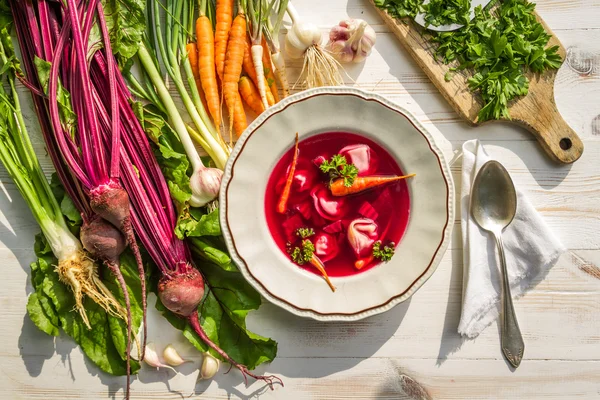 Primer plano de sopa de remolacha con verduras frescas — Foto de Stock