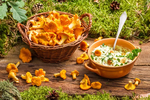 Chanterelles mushroom with cream and parsley are in the forest — Stock Photo, Image
