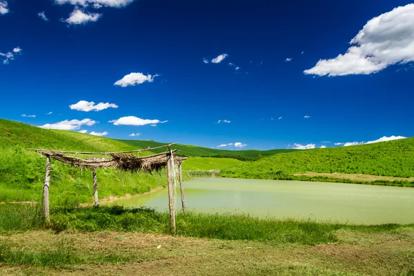 在领域里的一个池塘上用稻草盖顶的老 — 图库照片
