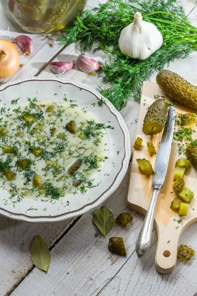 Ev yapımı salatalık çorbası ve malzemeler — Stok fotoğraf