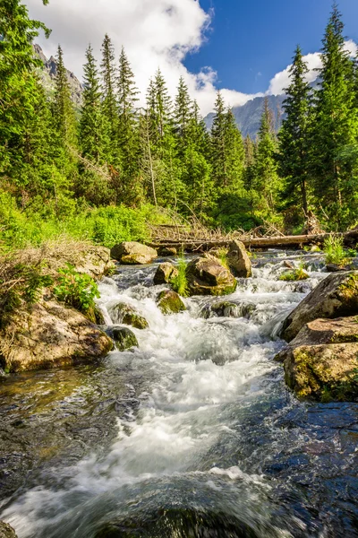 Agua cristalina de las montañas en verano — Foto de Stock