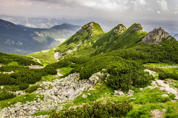 Vista dos picos de uma trilha de montanha no verão — Fotografia de Stock