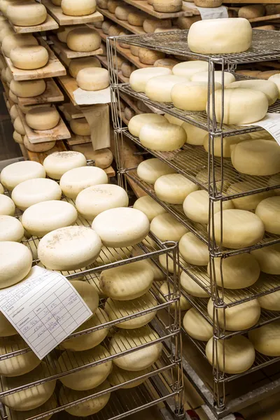 Ripened cheeses lying in the cold storage — Stock Photo, Image