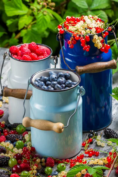 Cialde con frutti di bosco e panna montata — Foto Stock