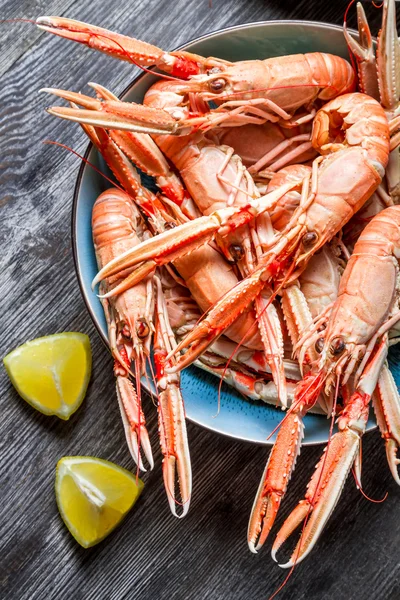 Scampi recém-cozido em uma tigela azul — Fotografia de Stock