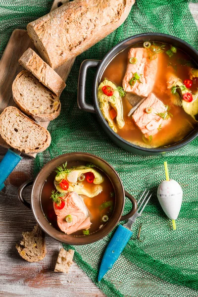 Sup ikan dengan dill dan cabai — Stok Foto