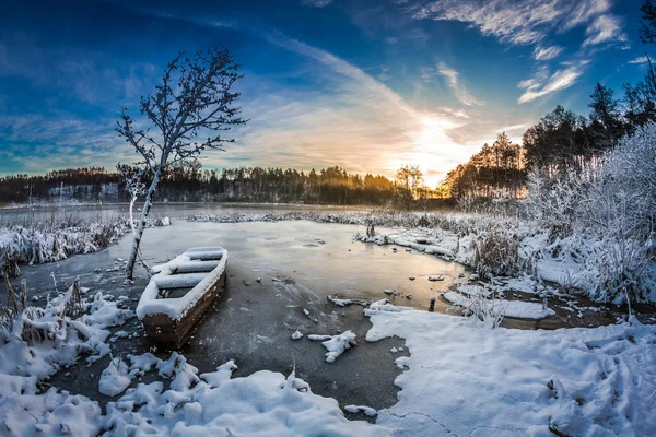 Första snön på sunrise på vintern — Stockfoto