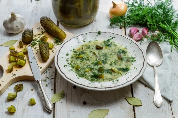 Sup acar Polandia yang terbuat dari sayuran segar — Stok Foto