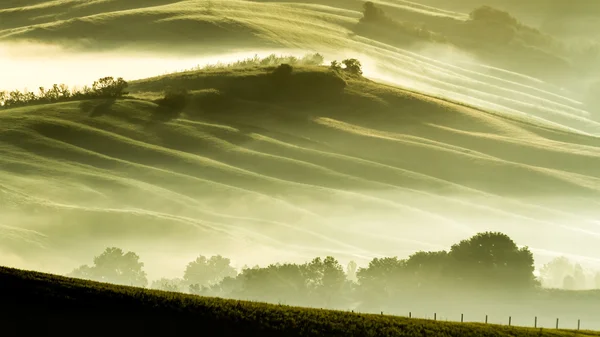 Nevoeiro da manhã no campo Toscana — Fotografia de Stock