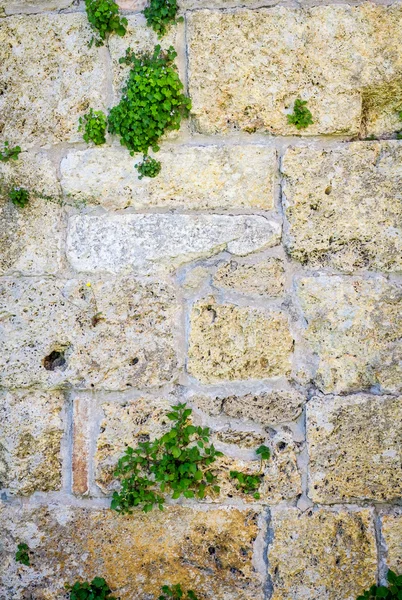 Old stone wall built of white stone — Stock Photo, Image