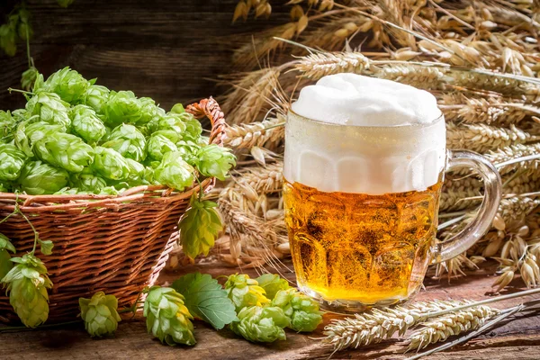 Hops and grains as ingredients for beer