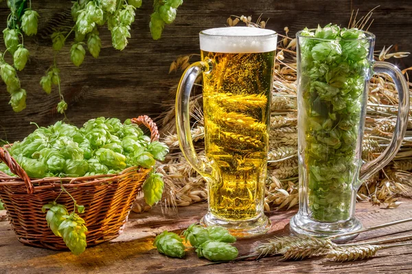 Houblon et céréales comme ingrédients pour la bière — Photo