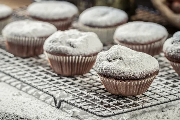 Closeup of falling powder sugar on vanilla muffins — Stock Photo, Image