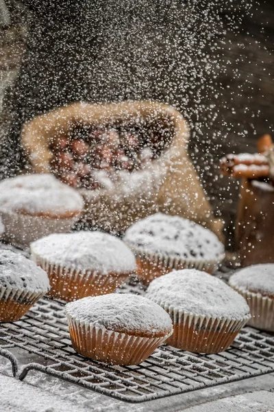 Icing sugar falling on fresh vanilla muffins — Stock Photo, Image