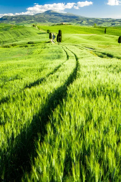 美丽的意大利托斯卡纳山谷景色 — 图库照片