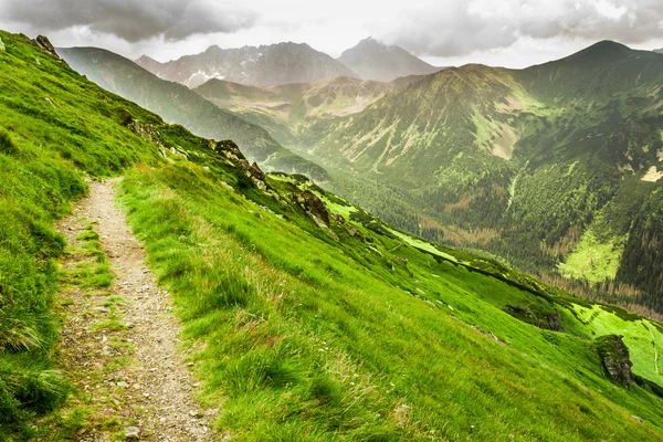 View of mountain peaks from the trail in summer — Stock Photo, Image