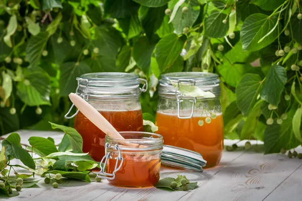 Honig in einem Glas auf dem Hintergrund der Linden Bäume — Φωτογραφία Αρχείου