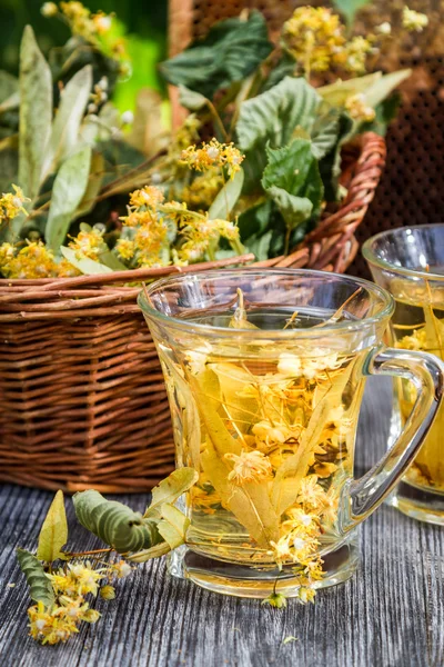 Summer lime tea with honey served in the garden — Stock Photo, Image