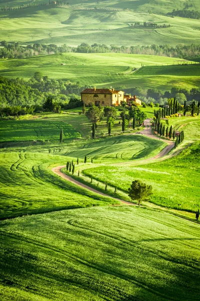 Musim semi bidang dan padang rumput di Italia — Stok Foto