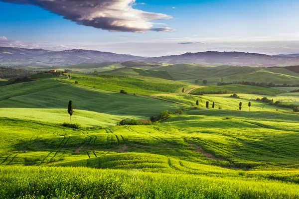 Grünes Tal bei Sonnenuntergang in der Toskana — Stockfoto