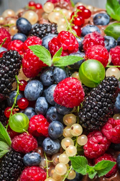 Primer plano de frutas frescas de bayas —  Fotos de Stock